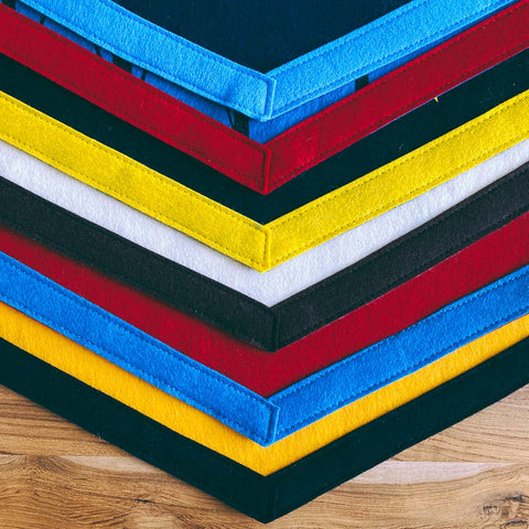 Hall of Fame Defunct Roller Coaster Banners