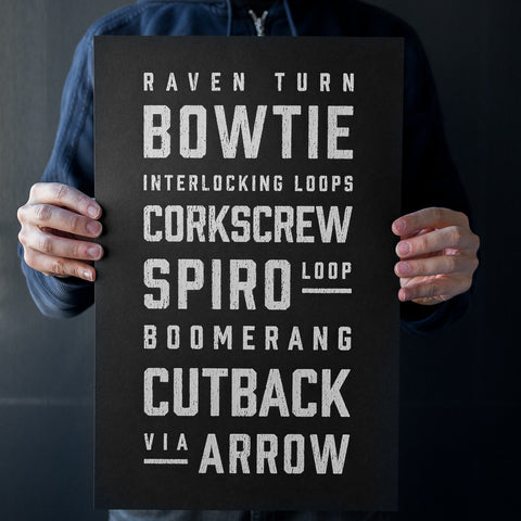 Arrow Roller Coaster Elements Print | In hands