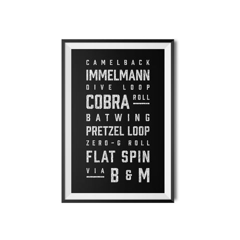 B&M Roller Coaster Elements Print