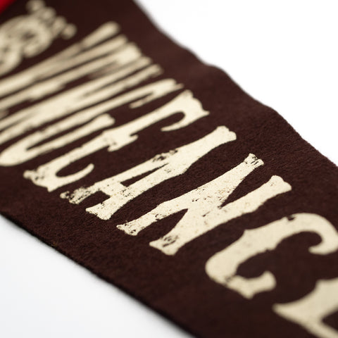 Vengeance Roller Coaster Pennant | Detail